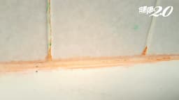 Search result thumbnail