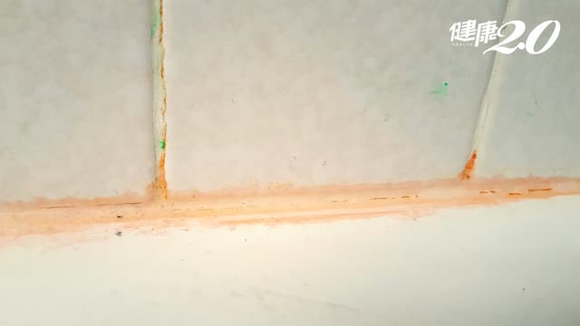 浴室「粉紅色汙垢」原來是這種菌 抵抗力不好會感染！3種清除方法曝光