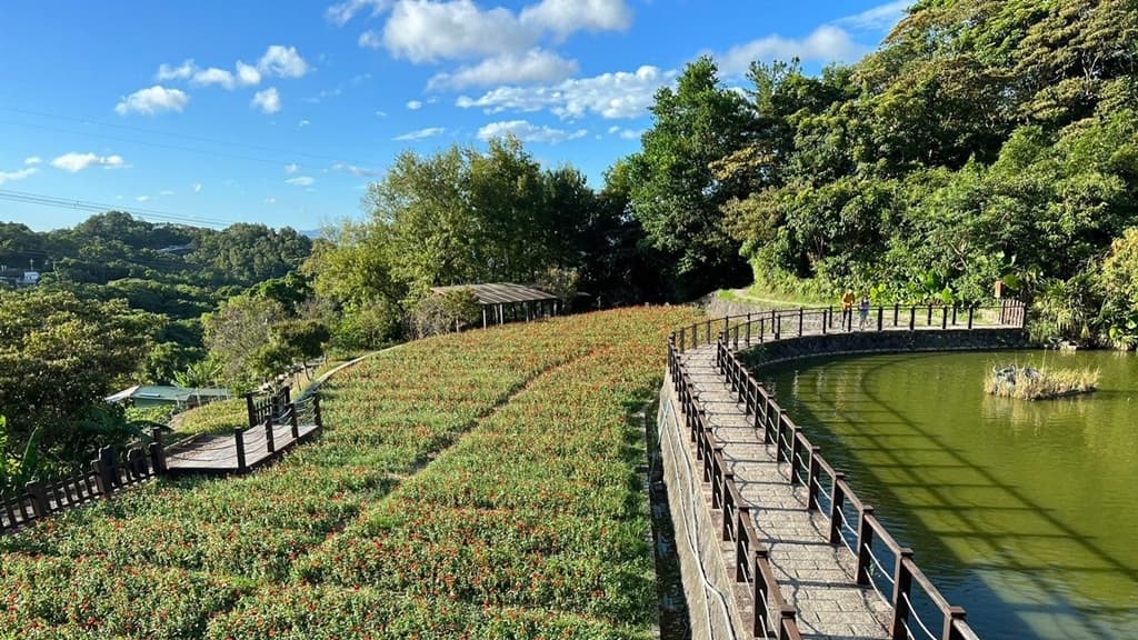 貓空-樟樹步道