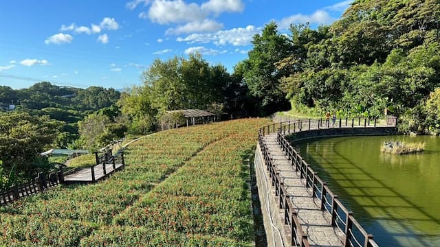 秋遊貓空靜心沉澱！茶香山景交織俯瞰台北盆地 四季展到12/1/strong/350547