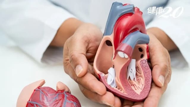 「這種」心臟病讓中風發生率增5倍！長庚最新技術3個小洞解決心臟問題