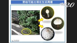 Search result thumbnail