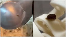 Search result thumbnail