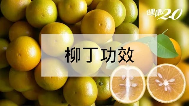 <span style="color:#1BA42B;">柳丁功效</span>降膽固醇護血管！感冒最佳吃法和禁忌一次看