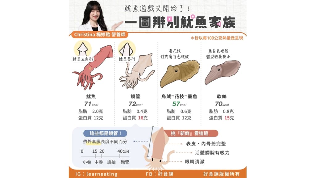 魷魚-透抽-烏賊-軟絲