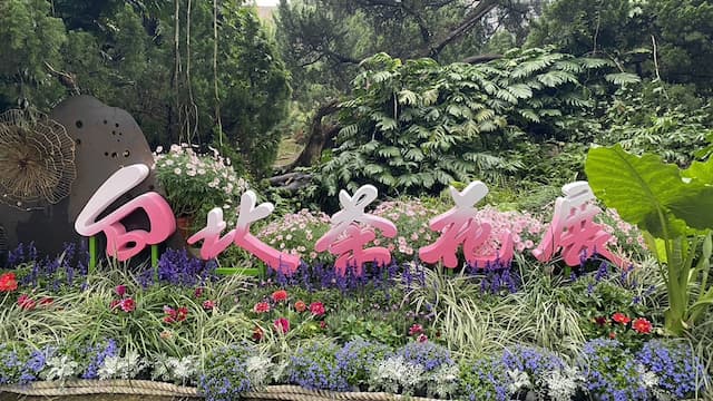 2025台北茶花展開跑！賞花、吃茶宴、送花苗、手做拓印紅包袋快報名/strong/352220