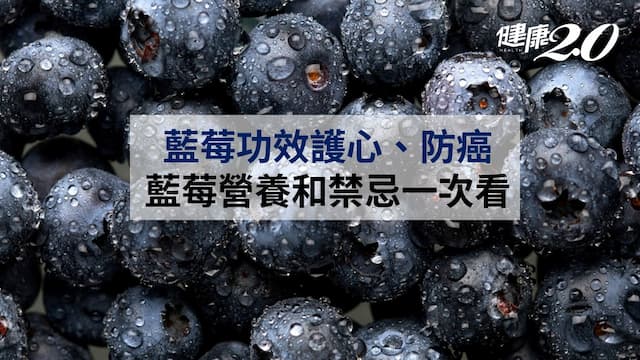 藍莓營養超強10功效！藍莓一天吃多少粒？藍莓清洗和禁忌