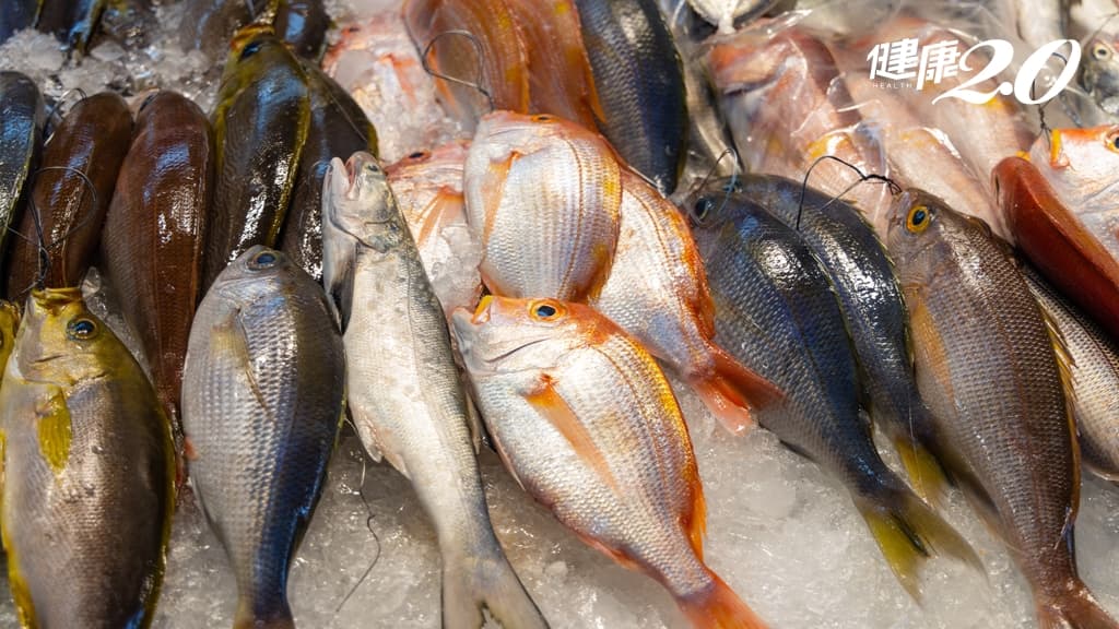 吃魚-護心腎-防失智-低汞魚