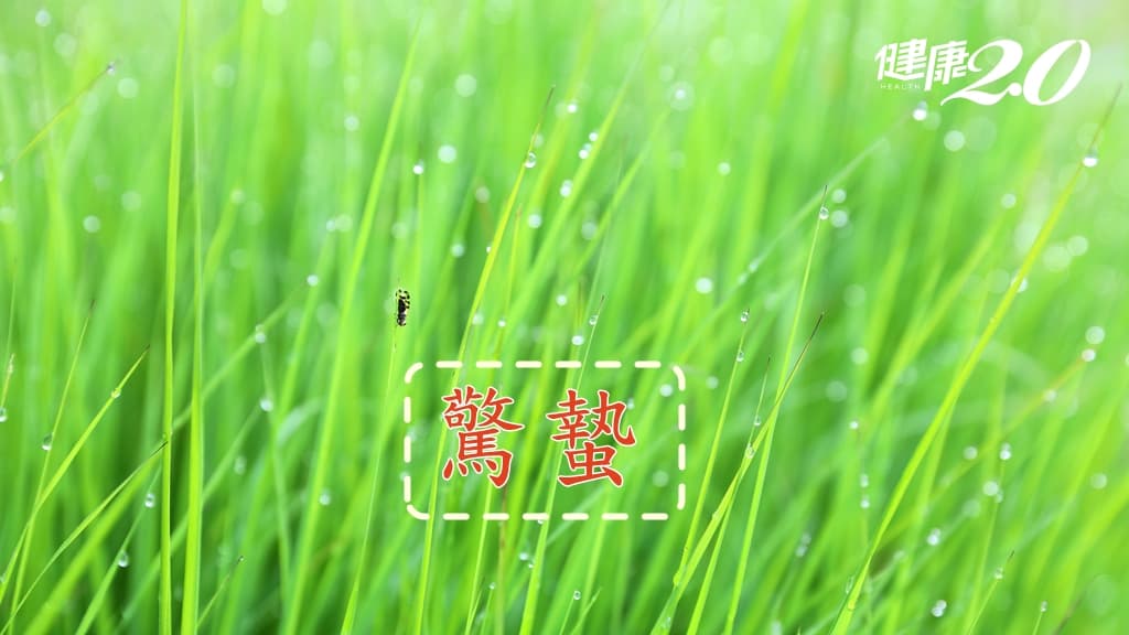 驚蟄-財運