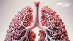 Search result thumbnail