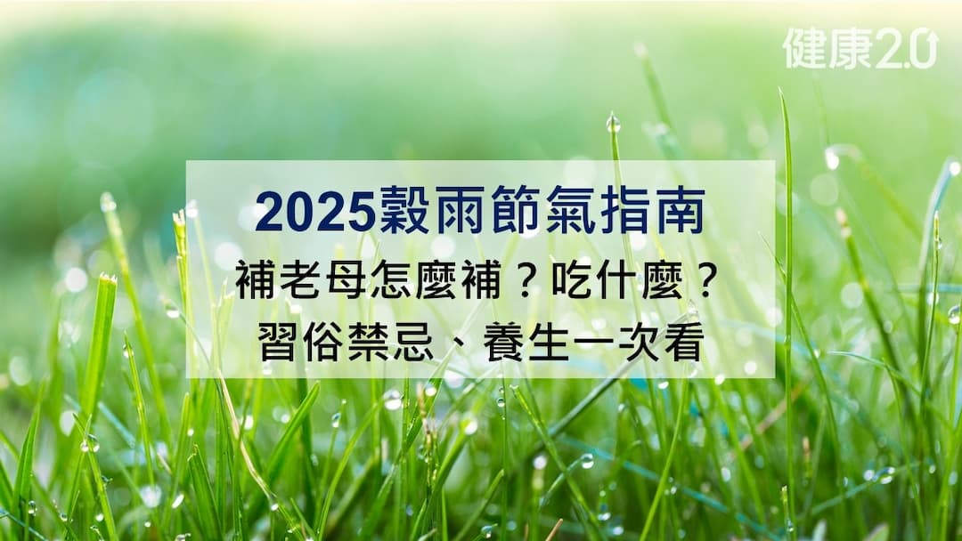 穀雨-2025穀雨-補老母-穀雨習俗禁忌-穀雨養生