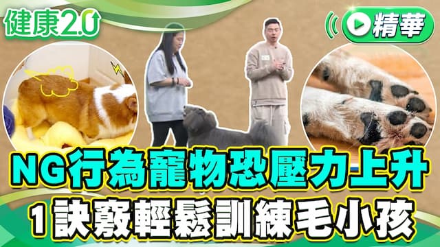 以為親密好玩？5個逗狗動作小心惹毛牠！1訣竅輕鬆訓練 人狗互動好開心/life/354324