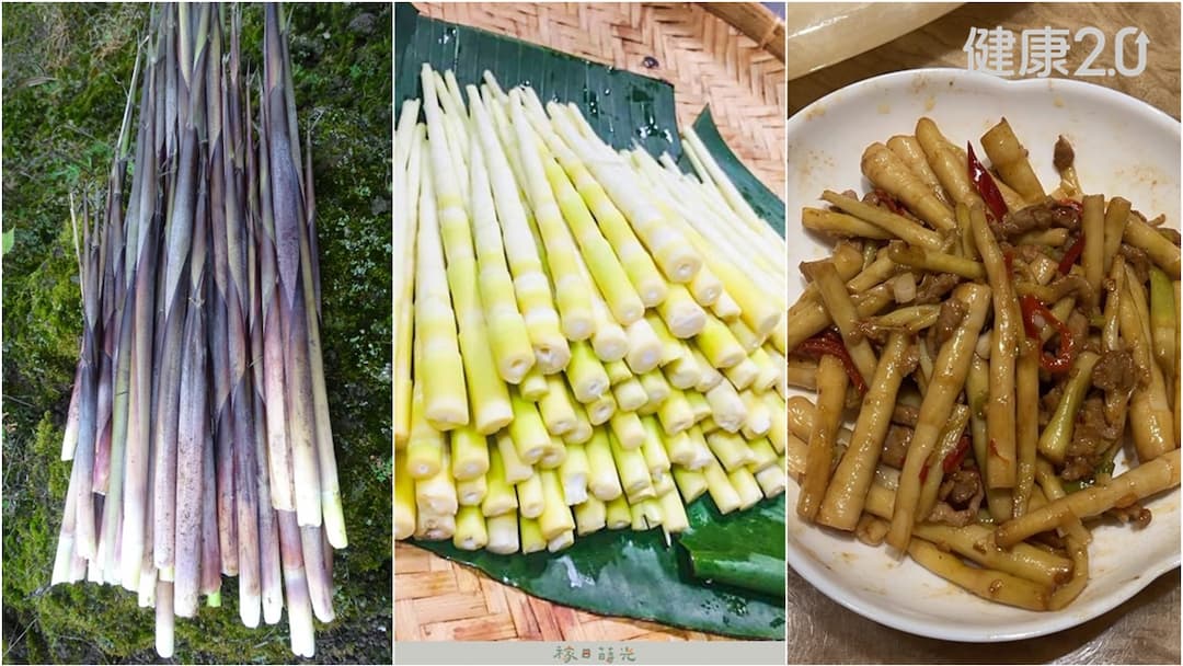 麻筍-麻竹筍-竹筍-天下第1筍-情緒