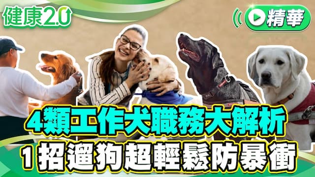 陪伴、導盲、治療犬差在哪？專家揭訓練訣竅，家犬也能學！/life/354507