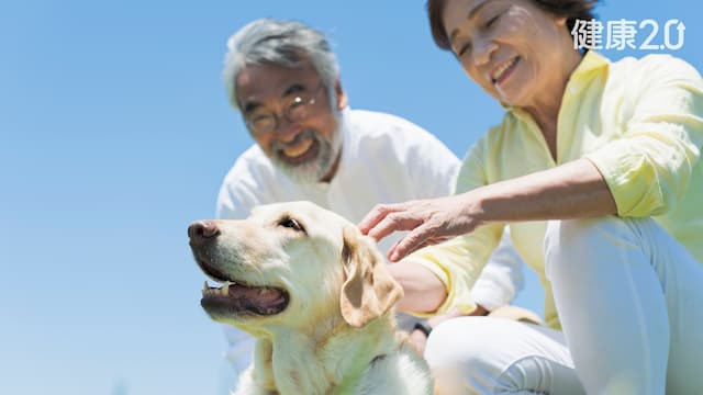「毛孩」是銀髮族防失智好伴侶！醫指出銀髮族與寵物多互動 改善社交是關鍵/life/354658