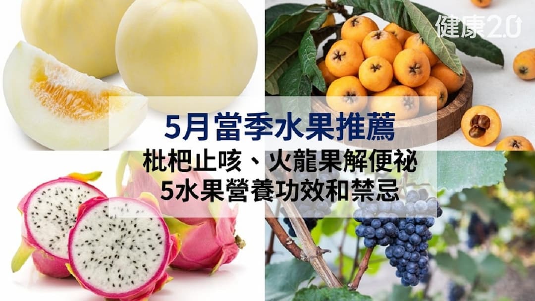 哈密瓜-枇杷-火龍果-葡萄-香瓜