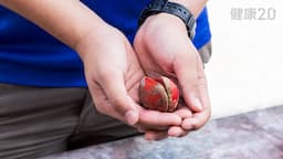 Search result thumbnail