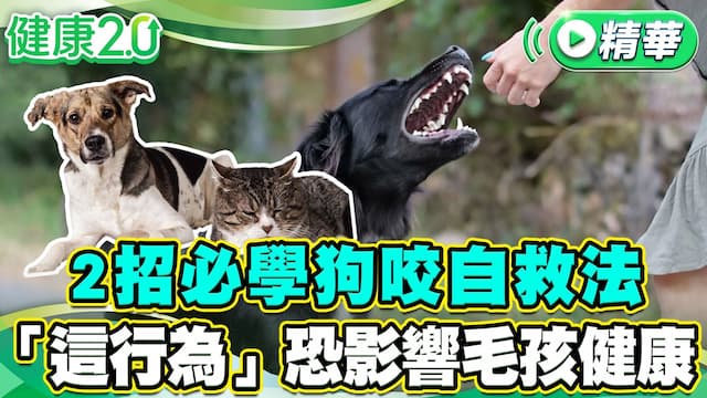 別人家毛孩可愛別亂摸！當狗出現「這些行為」就是在發出警告/review/354810