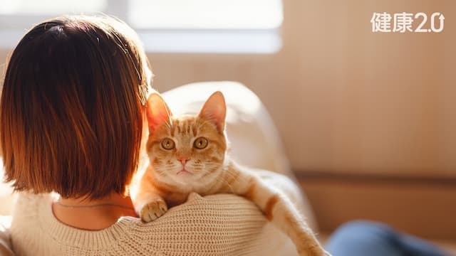 「療癒貓咪」登場！除了療育犬以外的全新選擇 「呼嚕聲」是安撫良藥/life/355159