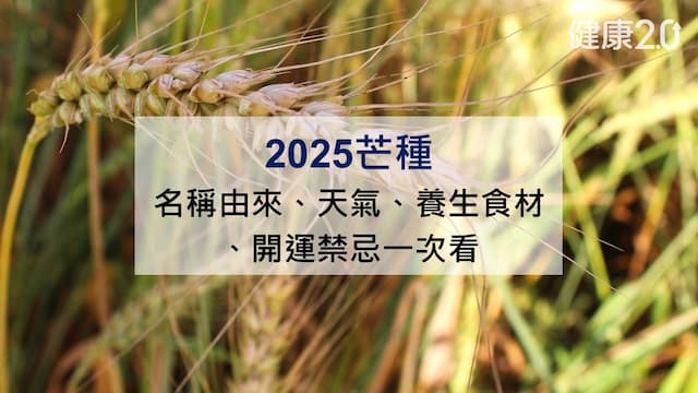 2025芒種節氣：名稱由來、天氣、養生食材和開運禁忌一次看