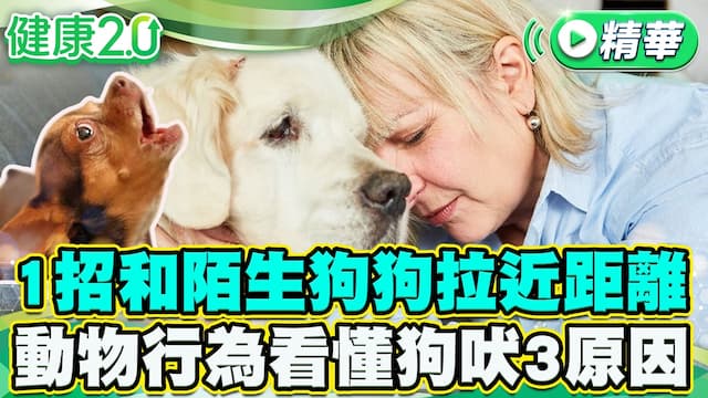 1招和陌生狗狗拉近距離！聽懂狗吠3原因/review/355413