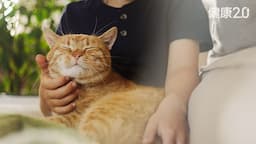Search result thumbnail