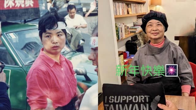 陳婉真三陰性乳癌赴泰細胞治療 肺炎魂斷異鄉 細胞治療怎麼治？/cancer/355527