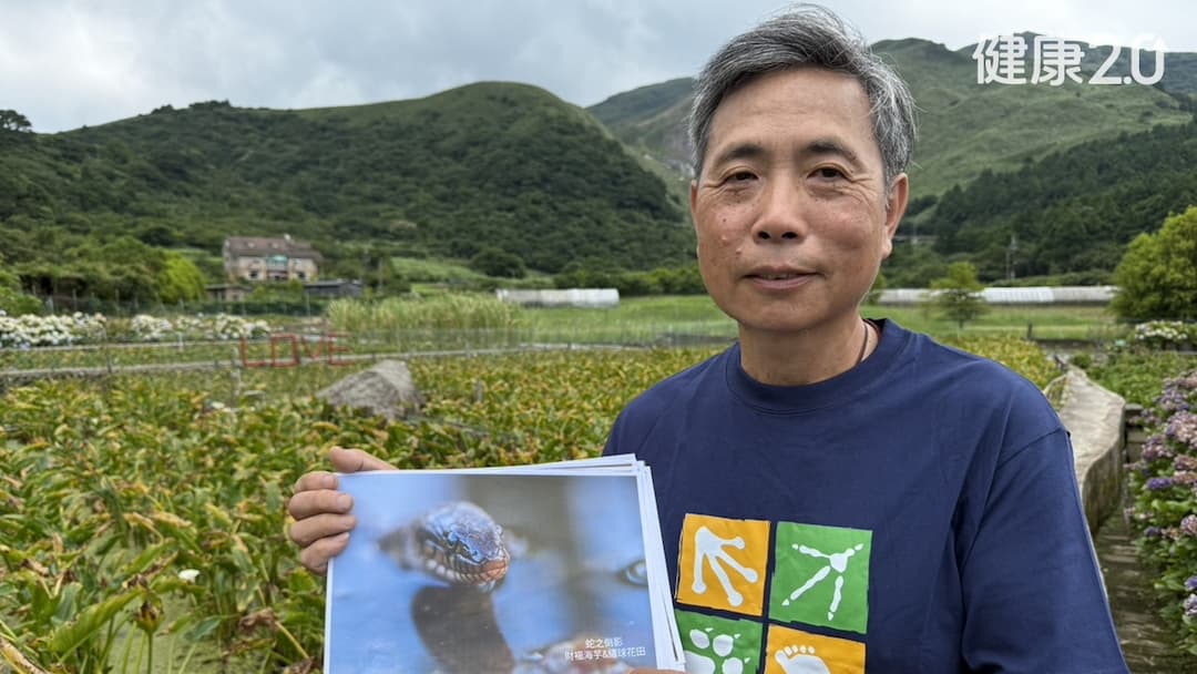 赤腹游蛇