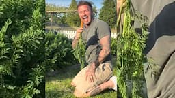 Search result thumbnail