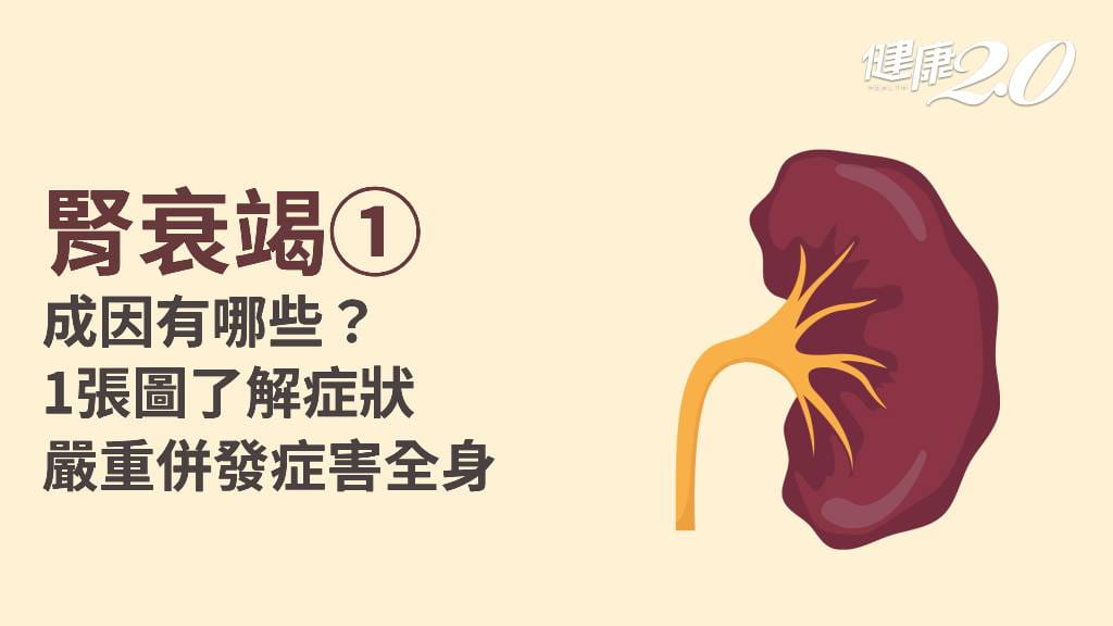 腎衰竭／不只水腫、泡泡尿！腎衰竭症狀多變 亂吃藥、進補恐敗腎