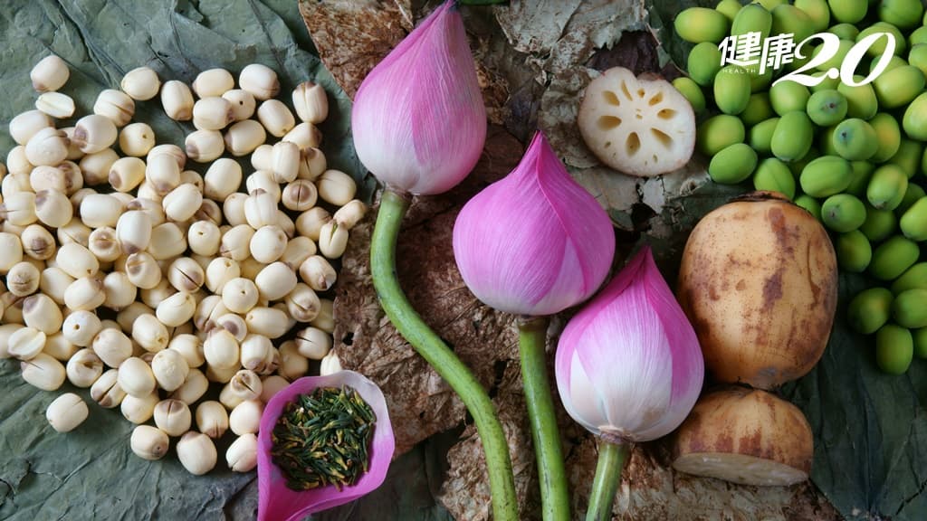 「蓮花」全身都是寶！花瓣泡茶能解暑 蓮蓬能降血脂 蓮子這樣煮營養又美味