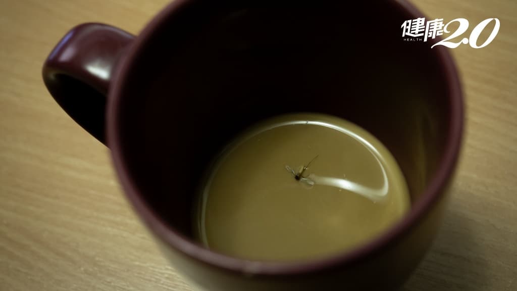 蚊子 咖啡