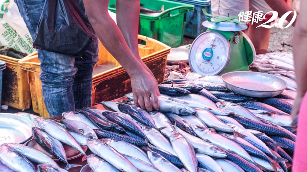 魚 捕魚 市場 漁獲
