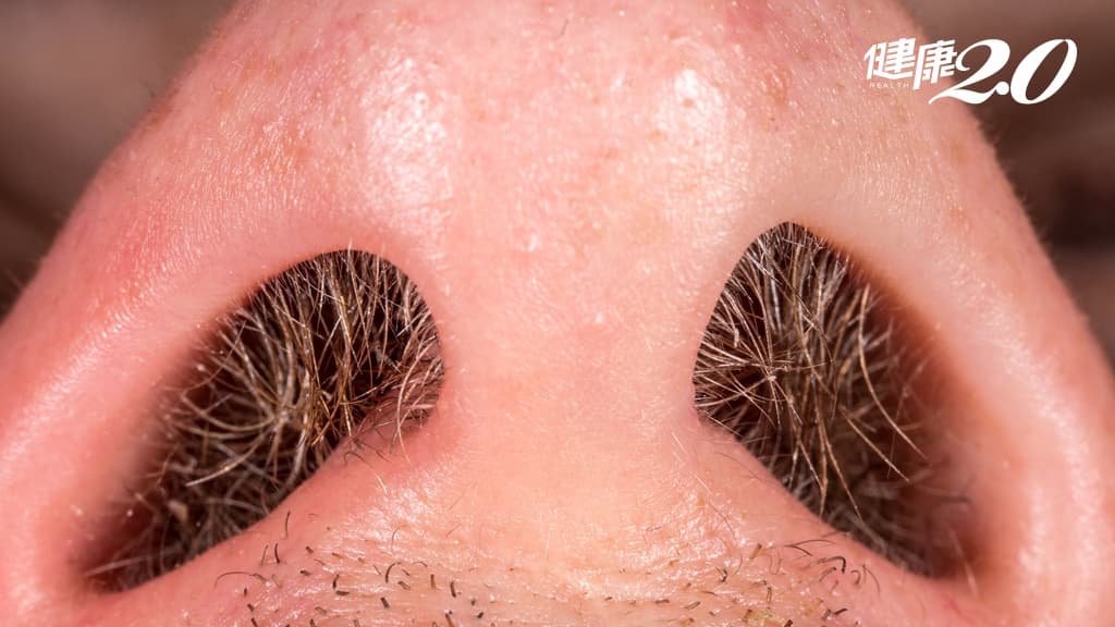 搞笑諾貝爾獎研究證實：「鬼剃頭」會影響到鼻毛數量 讓人更容易過敏！