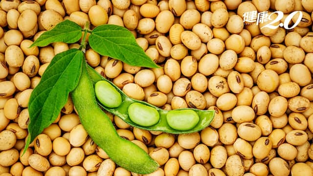 毛豆減肥法怎麼吃？蛋白質比雞蛋高！ 毛豆超強7大營養功效/nutrition/346303